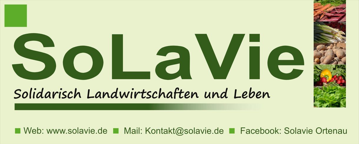 SoLaVie-Logo